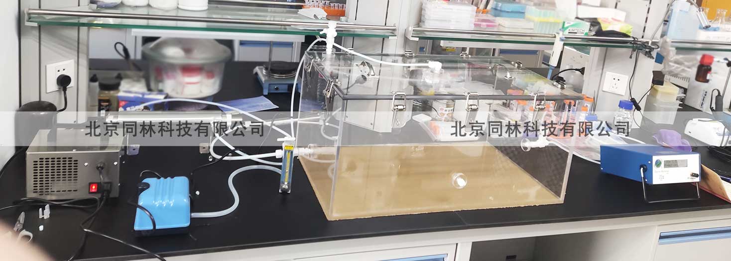 臭氧暴露(染毒)實(shí)驗(yàn)系統(tǒng)